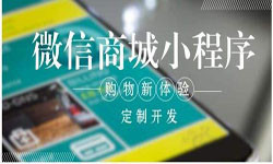 商城小程序开发、北京小程序开发哪家好？-北京乐竞(中国)lejing·官方网页版