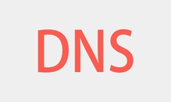北京软件开发、DNS的基本概念、北京乐竞(中国)lejing·官方网页版软件开发