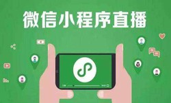微信小程序开发、直播小程序开发-乐竞(中国)lejing·官方网页版软件开发公司 