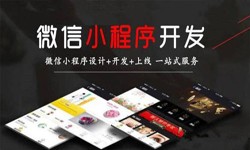 软件开发公司、定制微信小程序开发，商家需要了解哪些？乐竞(中国)lejing·官方网页版软件开发