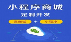 微信小程序开发、商城小程序开发功能-乐竞(中国)lejing·官方网页版软件开发